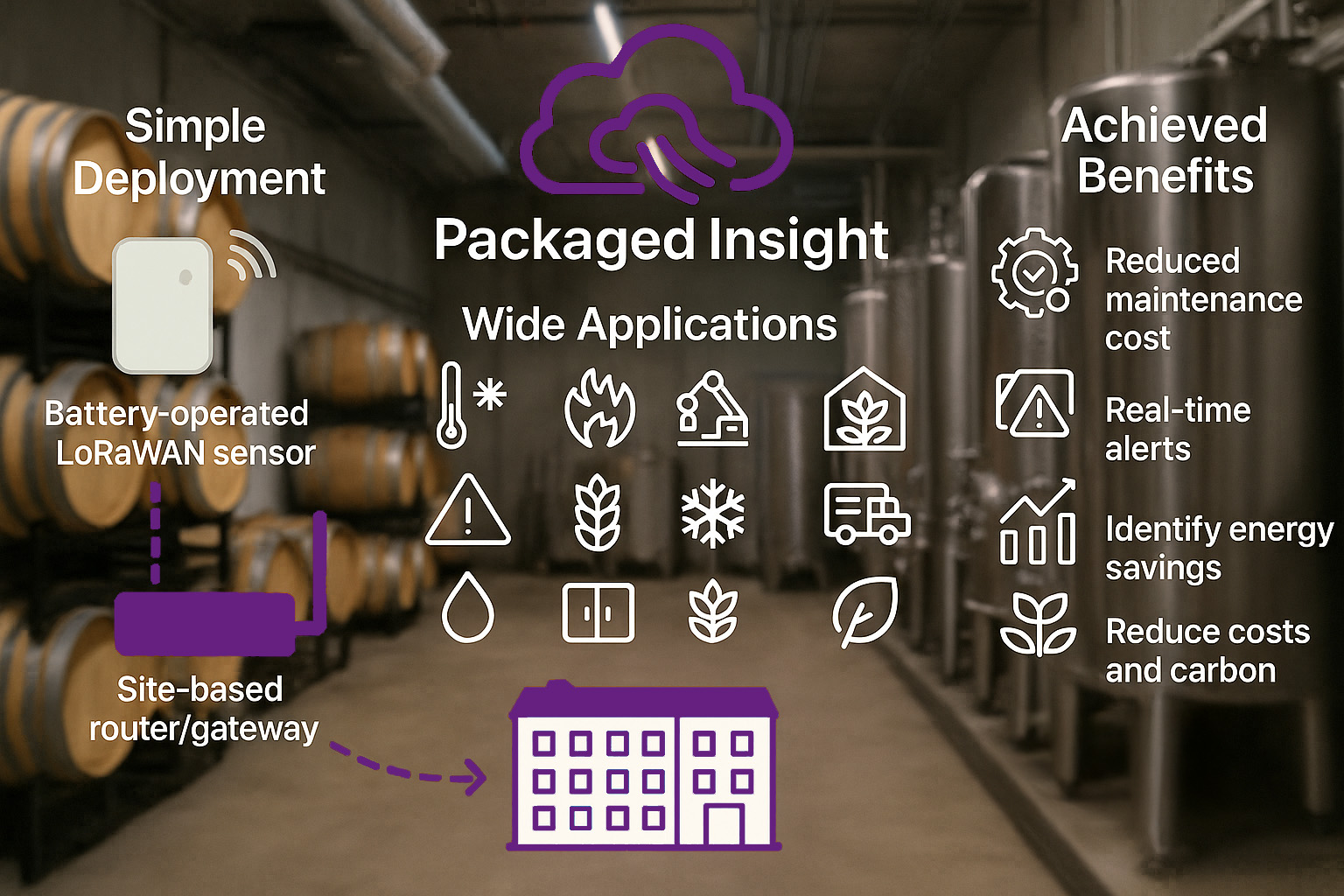 Packaged Insight Infographic