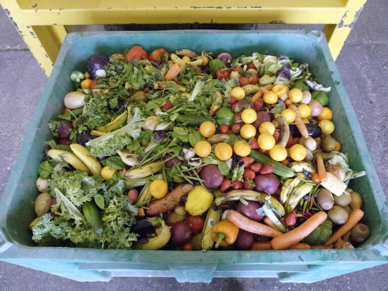 Fresh Produce in Container